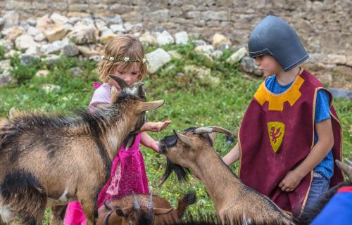 Basse cour du château, activités en famille, animations, parc de loisirs, jardin médiéval, machines de guerre, catapultes, fête médiévale, parcours ludique, énigmes, jeux, visite château médiéval proche Rochefort, Chatelaillon