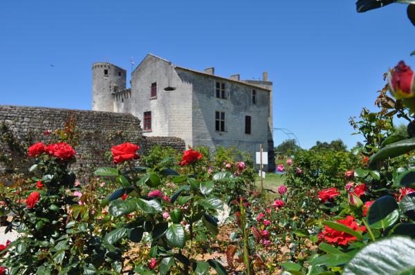Location de salles, visites château, évènementiel, traiteur, repas, feux d'artifice, boutique, souvenirs, comité d'entreprise au chateau fort de Saint Jean d'Angle proche de Rochefort, La Rochelle, Royan et Saintes en Charente Maritime 