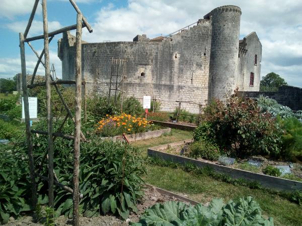 Divertissements en famille, visites de châteaux en Charente Maritime, Poitou Charente, parc de loisirs, parc d'attraction, fêtes médiévales, jardin médiéval, animaux de la ferme, jeux ludiques pour enfants